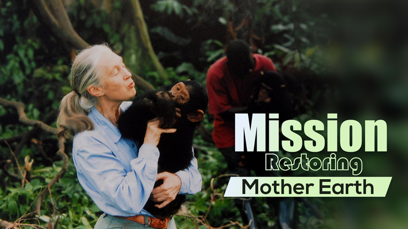 La legendaria primatóloga Jane Goodall muere a los 91 años video poster
