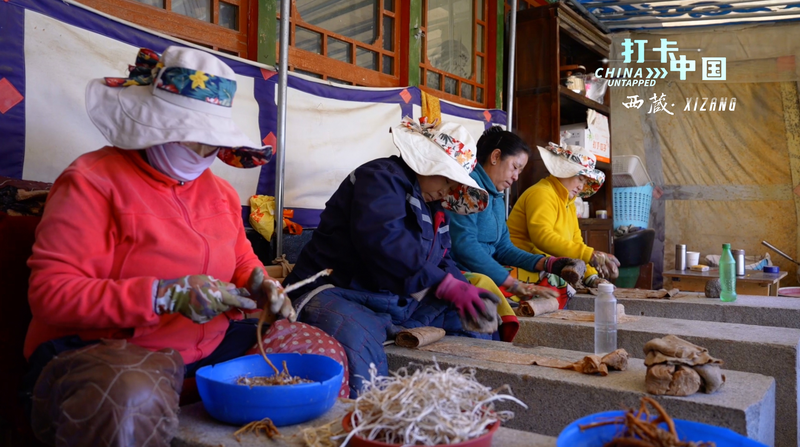 El secreto del 'papel lobo venenoso' de Tíbet video poster