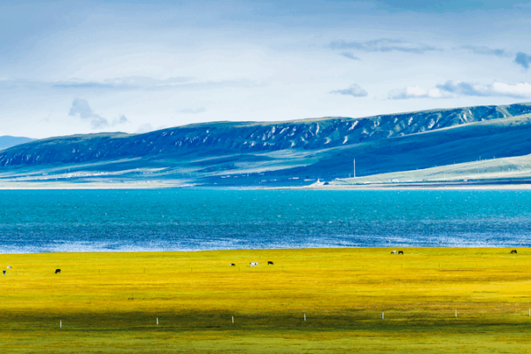 China, Japón y Corea del Sur lanzan el Plan de Acción Ambiental 2026-2030