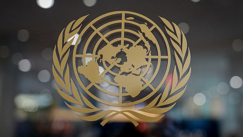 Seminario Académico en Wuhan Marca el 80° Aniversario de la ONU y Destaca la Resolución 2758 de la Asamblea General