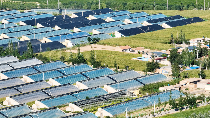 La transformación verde de Minning Town: De desierto a un oasis dorado