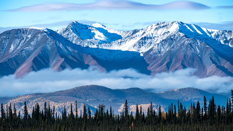 China reanuda tours grupales a Canadá: Amistad en movimiento 🌎✈️