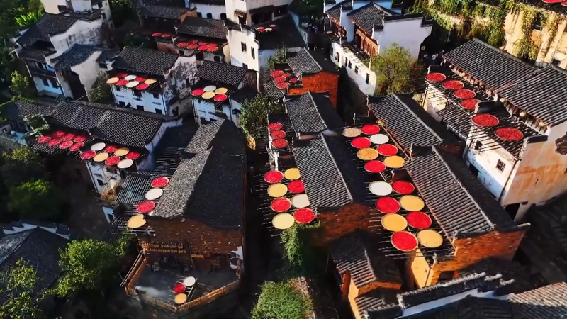 Wuyuan en otoño: esplendor de cosecha y arquitectura Huizhou video poster