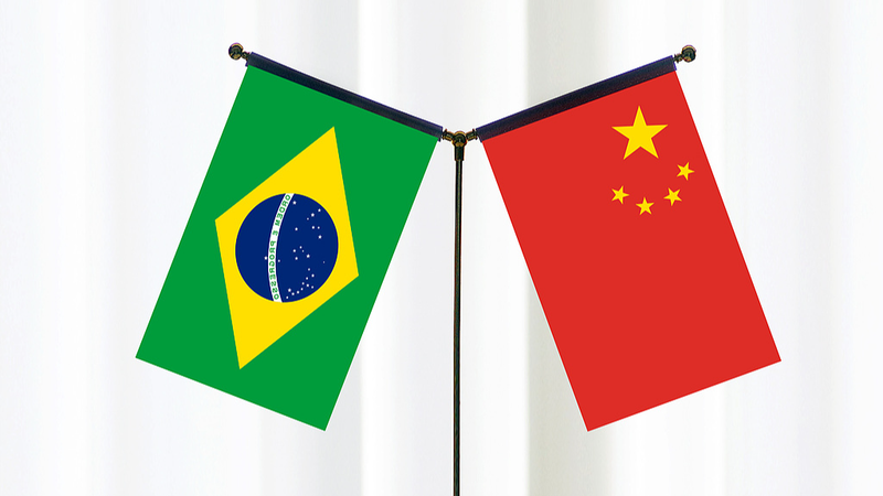 Viceprimer Ministro Urge a Una Comunidad China-Brasil Más Profunda con Futuro Compartido