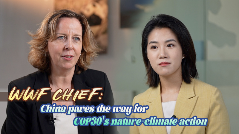 COP30: China continental impulsa acción por naturaleza y clima video poster