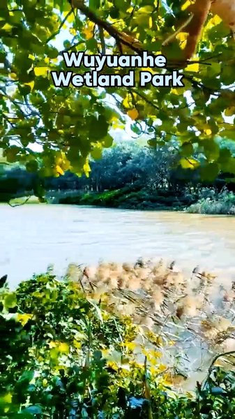 Wuyuanhe: el bar de oxígeno natural de Haikou video poster