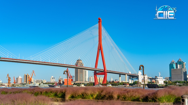 Yangpu Riverfront: El Pasado Industrial de Shanghái Reimaginado video poster