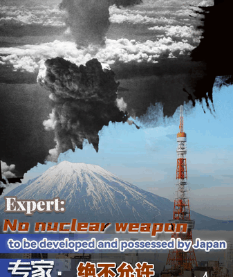 Experto advierte contra el desarrollo de armas nucleares por parte de Japón video poster