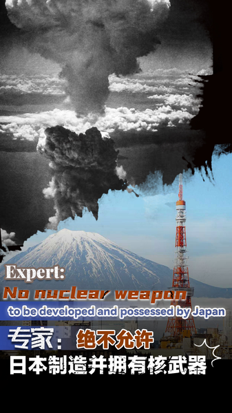 Experto advierte contra el desarrollo de armas nucleares por parte de Japón video poster
