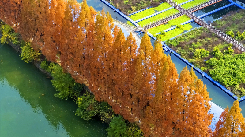 El continente chino revela nuevas regulaciones de monitoreo ecológico