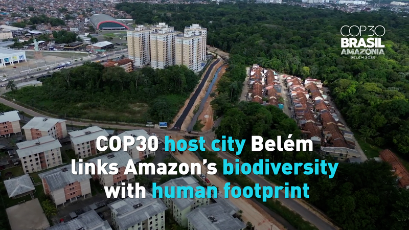 Foco Verde de Belém: COP30 Enciende la Entrada al Amazonas video poster