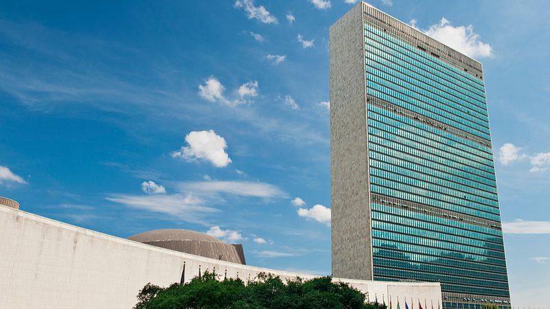 Xi envía mensaje en el Día de Solidaridad con el Pueblo Palestino