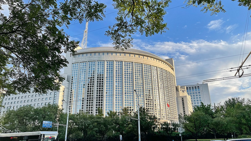 Liu Guozhong: Enviado de Xi en la Inauguración de la Mina Simandou