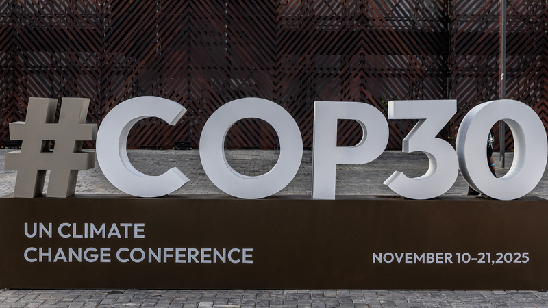 China lidera un esfuerzo global para salvar las selvas tropicales 🍃