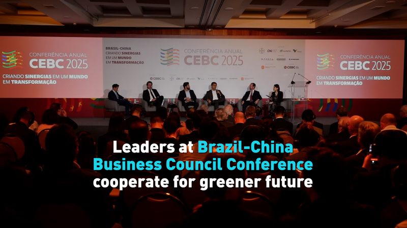 El Consejo Brasil-China Explora Impulso a la Energía Limpia Antes de la COP30 video poster