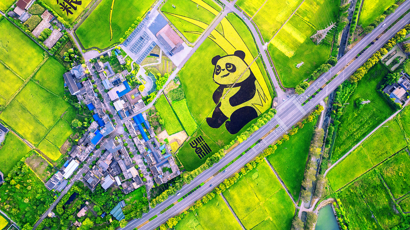 Juventud china aprovecha la tecnología y la educación para acabar con el hambre