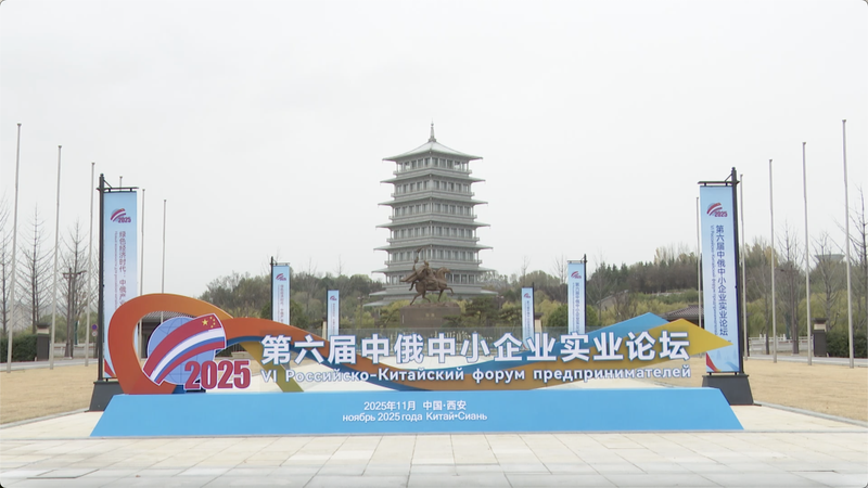 Las PYMEs de China y Rusia Forman Asociaciones de Economía Verde en Xi’an