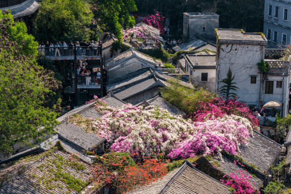 ¡Siente la energía de los Juegos Nacionales en Gankeng Hakka Town! video poster