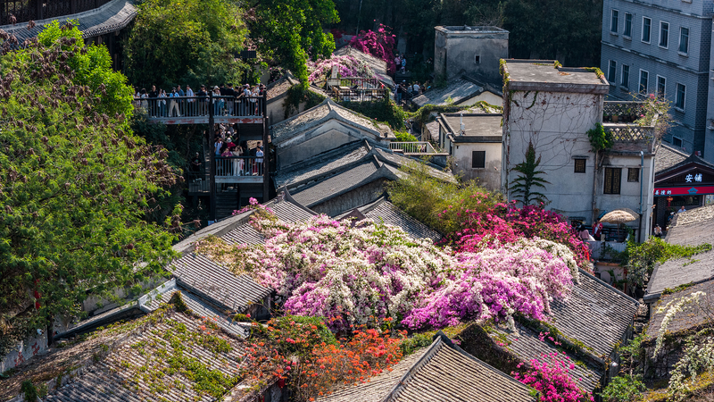 ¡Siente la energía de los Juegos Nacionales en Gankeng Hakka Town! video poster