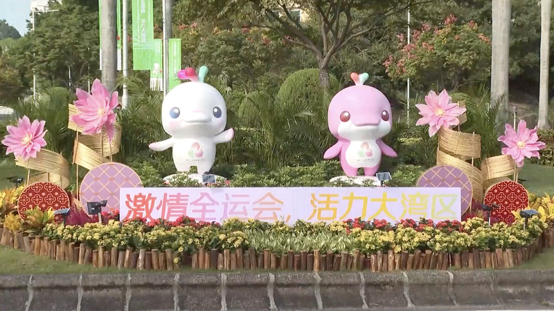 Los residentes de Macao abrazan los 15º Juegos Nacionales de China video poster