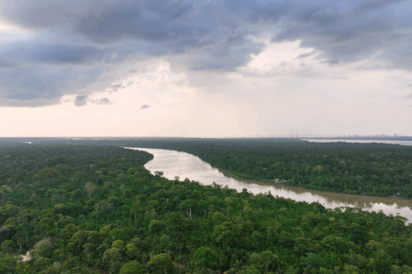 COP30 Belém: Financiamiento para el camino de 1.5°C - Logros y desafíos