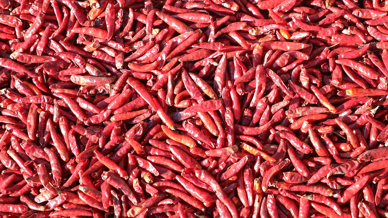 “Chili-Meter” Artificial: Lengua de Gel Mide Picante Como un Profesional