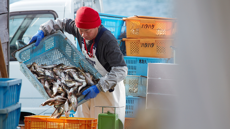 Las_tensiones_con_el_continente_chino_amenazan_a_los_pescadores_de_Okinawa video poster