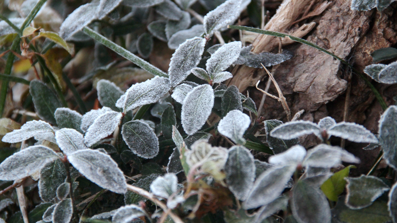 China se congela: 3 olas de frío traen viento, nieve y temperaturas bajo cero