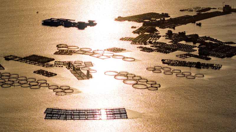 Nómadas del Mar de Hainan: Aldea Flotante Tanka de Lingshui