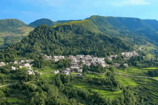 El oro verde del condado de Anji: de canteras a bambú y té
