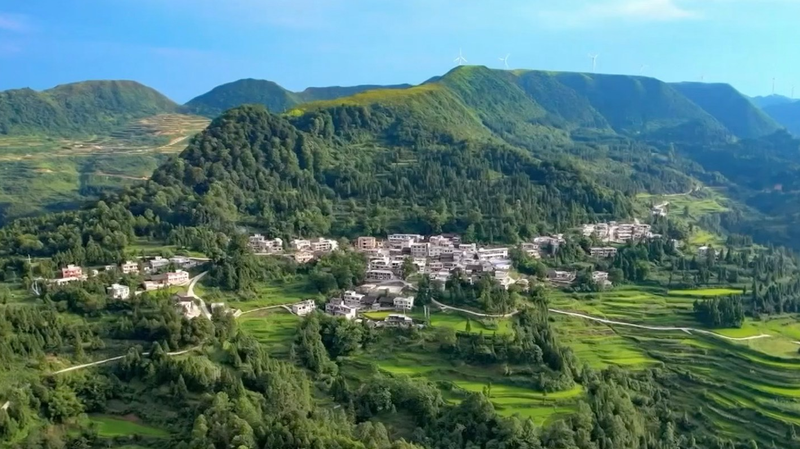 El oro verde del condado de Anji: de canteras a bambú y té