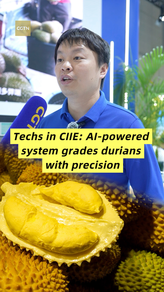 Los escáneres CT impulsados por IA revolucionan la clasificación de durian en CIIE video poster