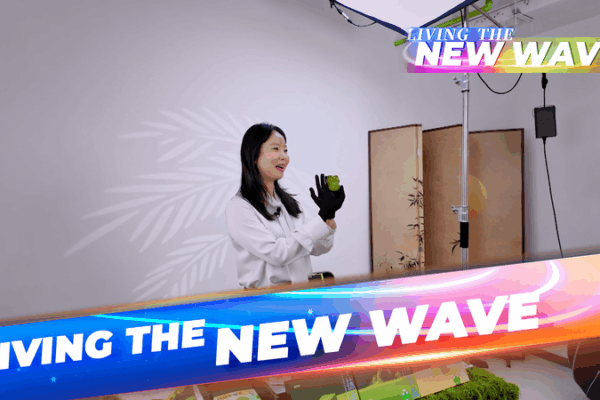 Compras en vivo en China: Redefiniendo el futuro del comercio electrónico video poster