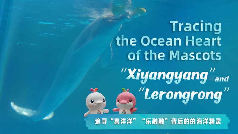 El latido oceánico de Xiyangyang y Lerongrong: inspiración en el delfín blanco video poster