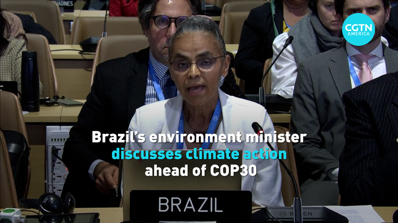 La ministra de Medio Ambiente de Brasil insta a tomar medidas audaces contra el cambio climático antes de la COP30 video poster