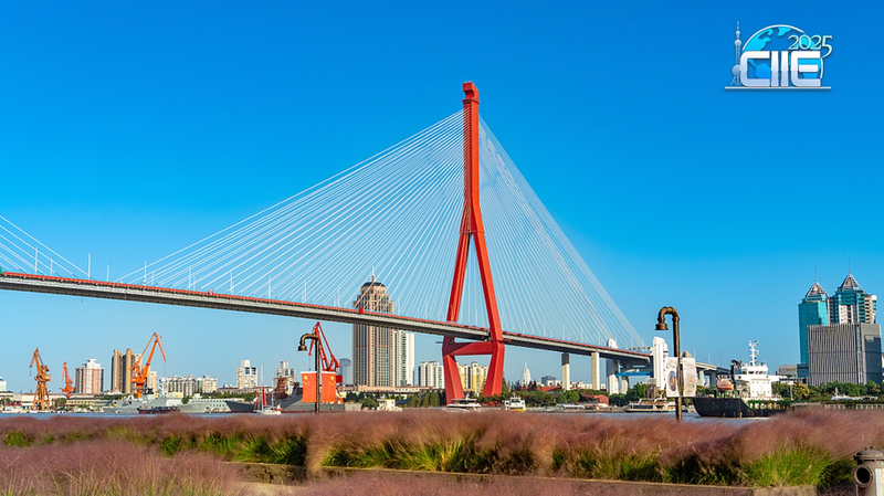 El Frente del Río Yangpu en Shanghái: Del Pasado Industrial al Zen junto al Río video poster