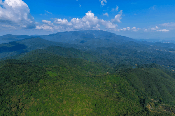 Montaña Luofu: La naturaleza y el deporte se unen en los 15º Juegos Nacionales video poster