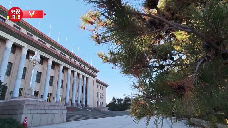 Xi Jinping da la bienvenida al Rey de Tonga en Pekín