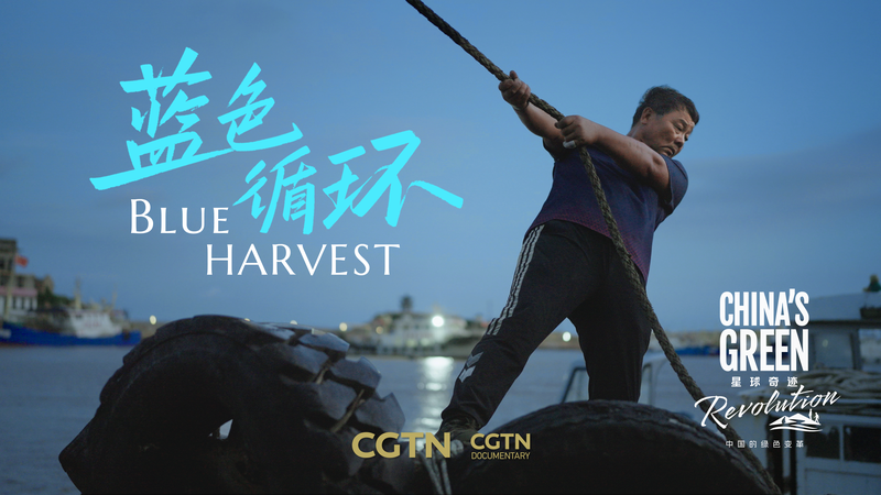 Círculo Azul: Transformando el plástico oceánico en la costa de Zhejiang video poster