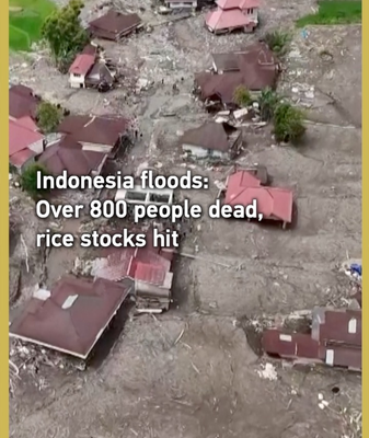 Inundaciones en Indonesia dejan más de 800 muertos y devastan suministros de arroz video poster