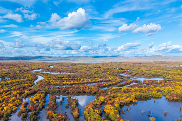 China conserva más de 800 millones de mu de humedales en el 14.º Plan Quinquenal