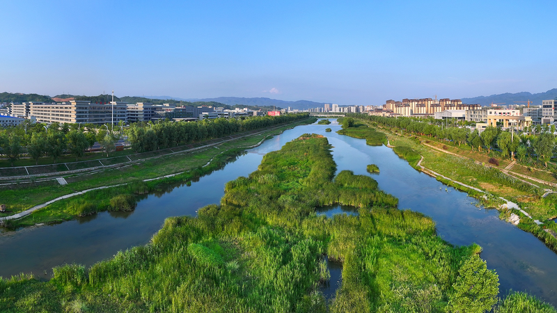 China impulsa cooperación verde con su nuevo código ambiental