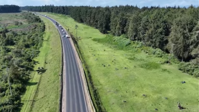 Actualización respaldada por China impulsa el corredor comercial de África Oriental