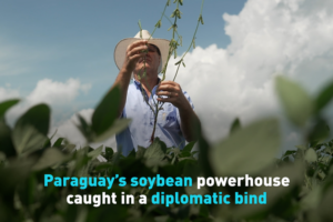 Paraguay y su soja: atrapados en un nudo diplomático con China video poster