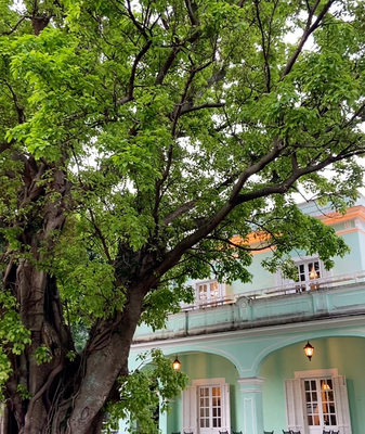 Casas de Taipa: Fusión cultural en el corazón de Macao video poster