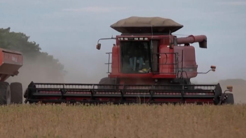 Trump anuncia paquete de ayuda de 12.000 millones de dólares para agricultores video poster
