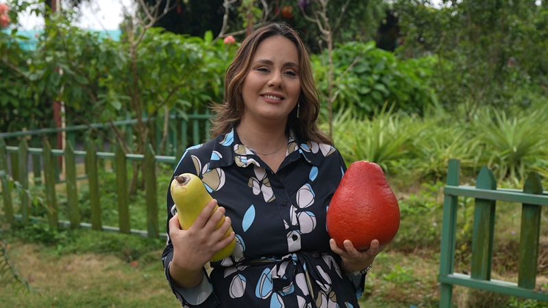 Revolución tropical en Hainan: innovación y frutas globales video poster
