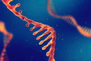 ARN_oculto__el_arma_secreta_de_los_virus_para_secuestrar_bacterias