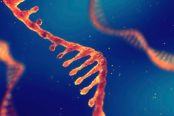 ARN_oculto__el_arma_secreta_de_los_virus_para_secuestrar_bacterias