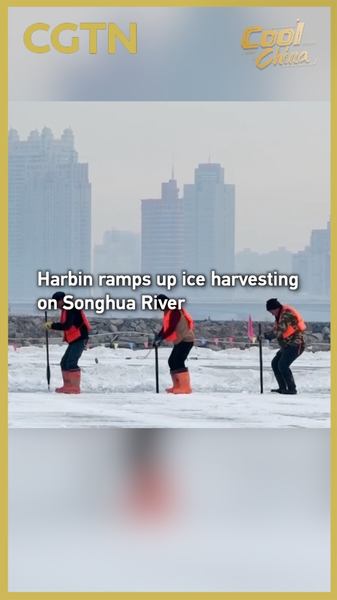 Harbin acelera la cosecha de hielo en el Songhua para el 27º Ice-Snow World video poster